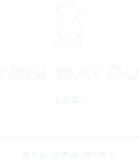 Ned Bayou